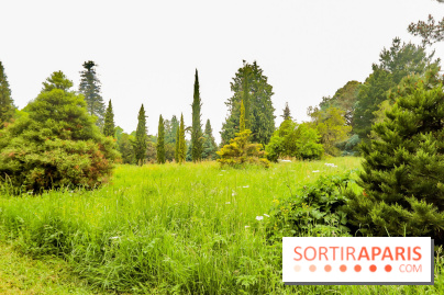 L'Arboretum de Versailles - Chevreloup