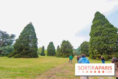 L'Arboretum de Versailles - Chevreloup