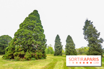 L'Arboretum de Versailles - Chevreloup