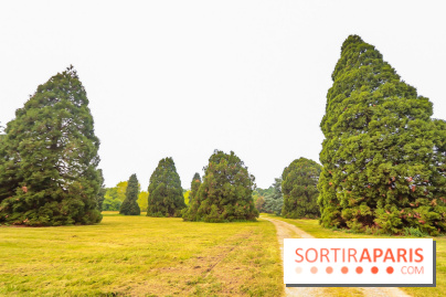 L'Arboretum de Versailles - Chevreloup