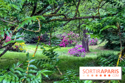 L'Arboretum de Versailles - Chevreloup