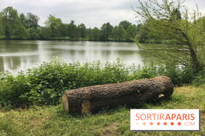 L'Arboretum de Versailles - Chevreloup