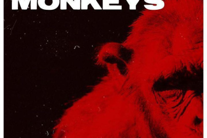 Concert Mushroom Monkeys