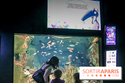 Loup préserve les océans à l'Aquarium de Paris, les photos