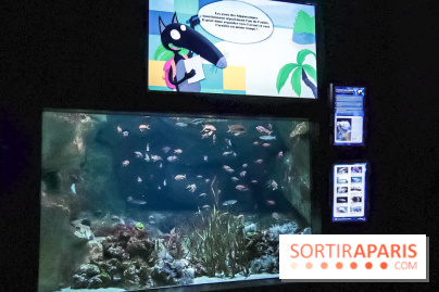 Loup préserve les océans à l'Aquarium de Paris, les photos