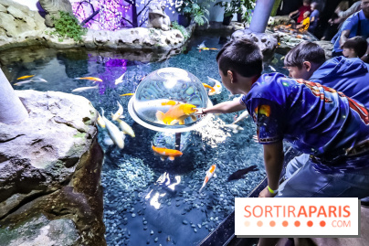 Loup préserve les océans à l'Aquarium de Paris, les photos