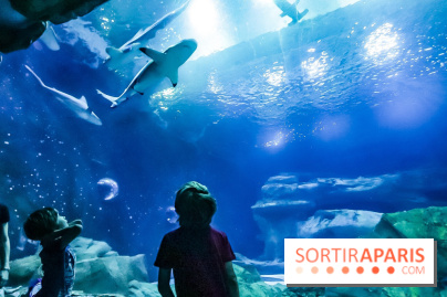 Loup préserve les océans à l'Aquarium de Paris, les photos