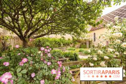 Château de Farcheville, les photos