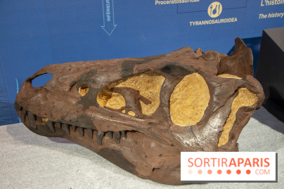 Un T-Rex à Paris : les photos