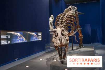 Un T-Rex à Paris : les photos