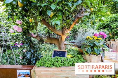 Jardins Jardin 2018, les photos