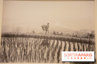 Terres de riz, l'exposition au musée Guimet