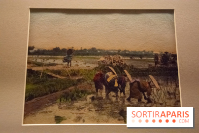 Terres de riz, l'exposition au musée Guimet