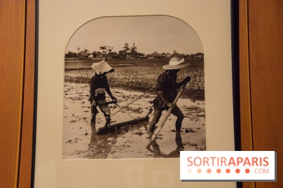 Terres de riz, l'exposition au musée Guimet