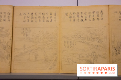 Terres de riz, l'exposition au musée Guimet