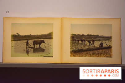 Terres de riz, l'exposition au musée Guimet