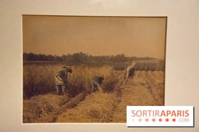 Terres de riz, l'exposition au musée Guimet