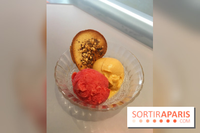 Glaces Foucade Paris