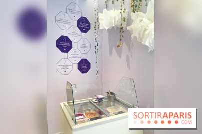 Glaces Foucade Paris