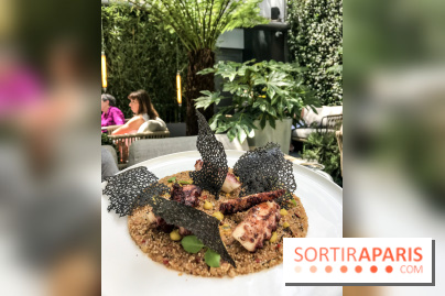 Le Collectionneur, restaurant-terrasse à Paris, les photos