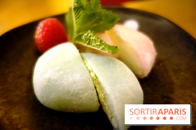 Bar du Kinugawa Vendôme à Paris