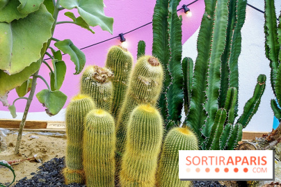 Le Jardin Suspendu à Paris