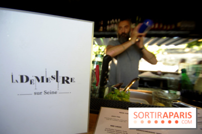 La Démesure Sur Seine à Paris, édition 2018