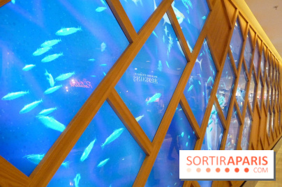 So Ouest, la galerie marine