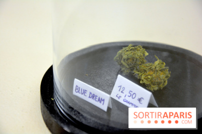 BlueDreamLab le spécialiste de la vente de cannabis CBD