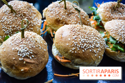 La Villa Extraordinaire, les photos 