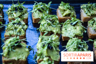 La Villa Extraordinaire, les photos 