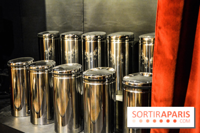 La Villa Extraordinaire, les photos 