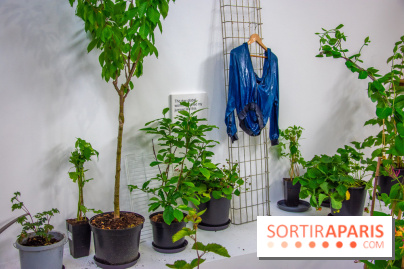 Exposition Laure Prouvost au Palais de Tokyo