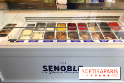Glaces Senoble