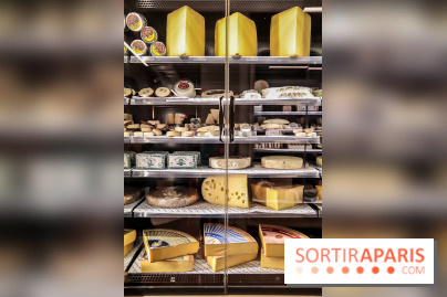 Maison Plisson 2, inauguration