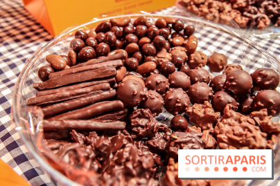 Maison Plisson 2, inauguration