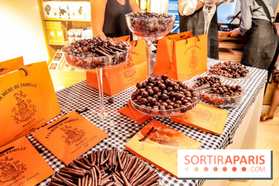 Maison Plisson 2, inauguration