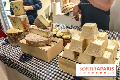 Maison Plisson 2, inauguration