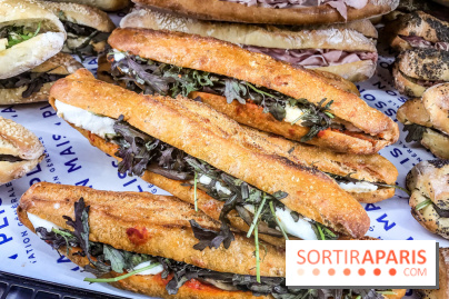 Maison Plisson 2, inauguration