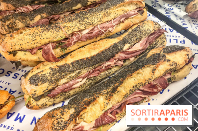 Maison Plisson 2, inauguration