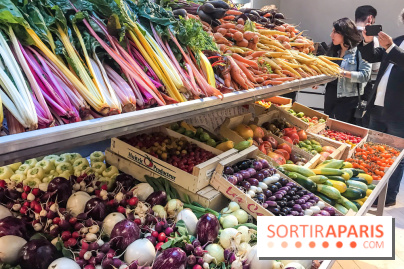 Maison Plisson 2, inauguration