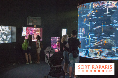 Peppa Pig à l’Aquarium de Paris : les photos