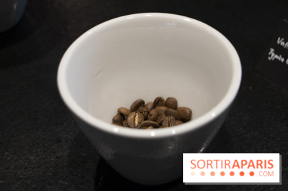 Initiation "autour du café" chez Comptoirs Richard : les photos