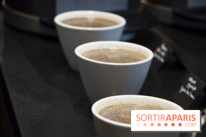Initiation "autour du café" chez Comptoirs Richard : les photos