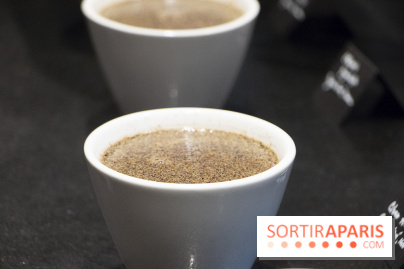 Initiation "autour du café" chez Comptoirs Richard : les photos