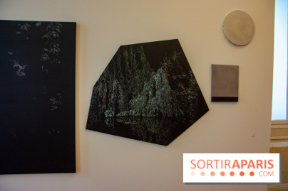 FUKAMI, l'exposition à l'hôtel Salomon de Rothschield