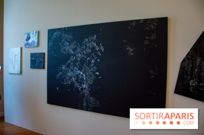 FUKAMI, l'exposition à l'hôtel Salomon de Rothschield