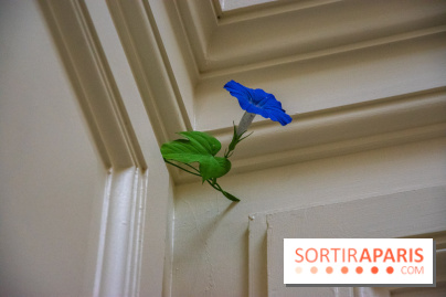 FUKAMI, l'exposition à l'hôtel Salomon de Rothschield