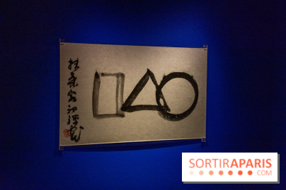 FUKAMI, l'exposition à l'hôtel Salomon de Rothschield