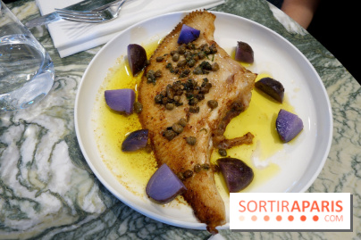 Zebra par Alexandre Giesbert et Julien Ross dans le 16e à Paris